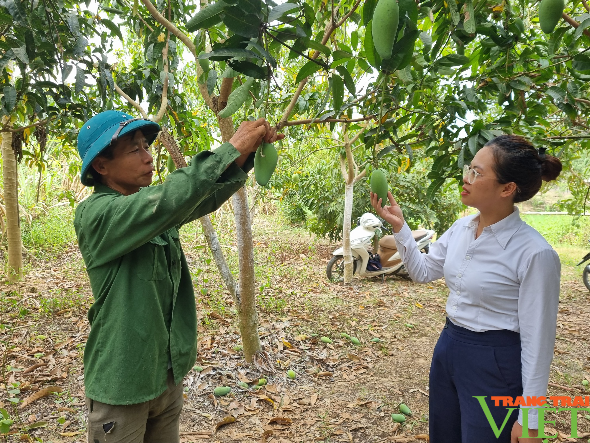 Sử dụng vốn vay Agribank Mường La hiệu quả, người dân có thu nhập khá - Ảnh 4.