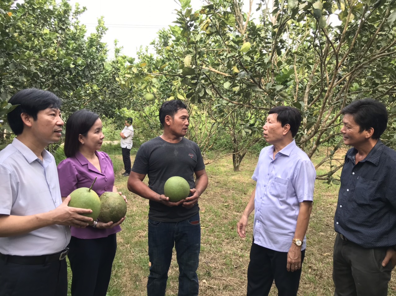 Khánh Hòa: Trên 2.811 lượt hộ dân miền núi được hỗ trợ vay vốn ngân hàng - Ảnh 1. Khánh Hòa: Trên 2.811 lượt hộ dân miền núi được hỗ trợ vay vốn ngân hàng - Ảnh 1.
