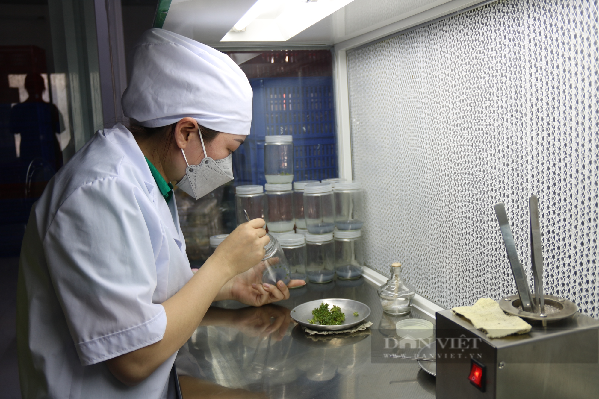 Ảnh ấn tượng tuần: Cận cảnh &quot;nỏ thần&quot; An Dương Vương và chiếc xe dành cho người dơi - Ảnh 4.