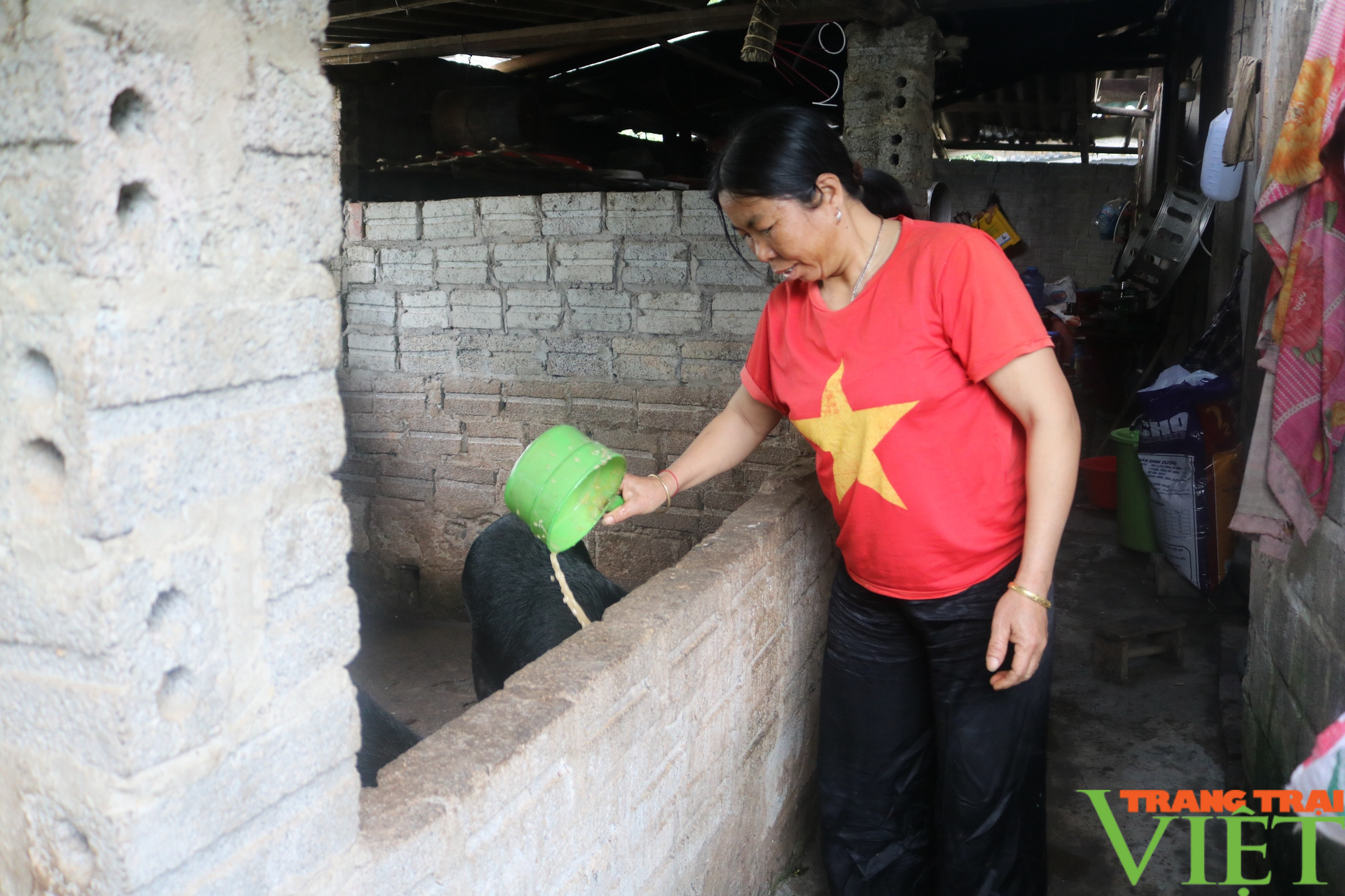 Sa Pa: Xã NTM đẩy mạnh phát triển kinh tế - Ảnh 2. Sa Pa: Xã NTM đẩy mạnh phát triển kinh tế - Ảnh 2.