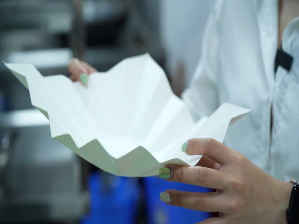 Cua giấy có phải là một loại cua hay không mà ở Quảng Ninh khi được mời ăn khiến người ta bất ngờ? - Ảnh 1.