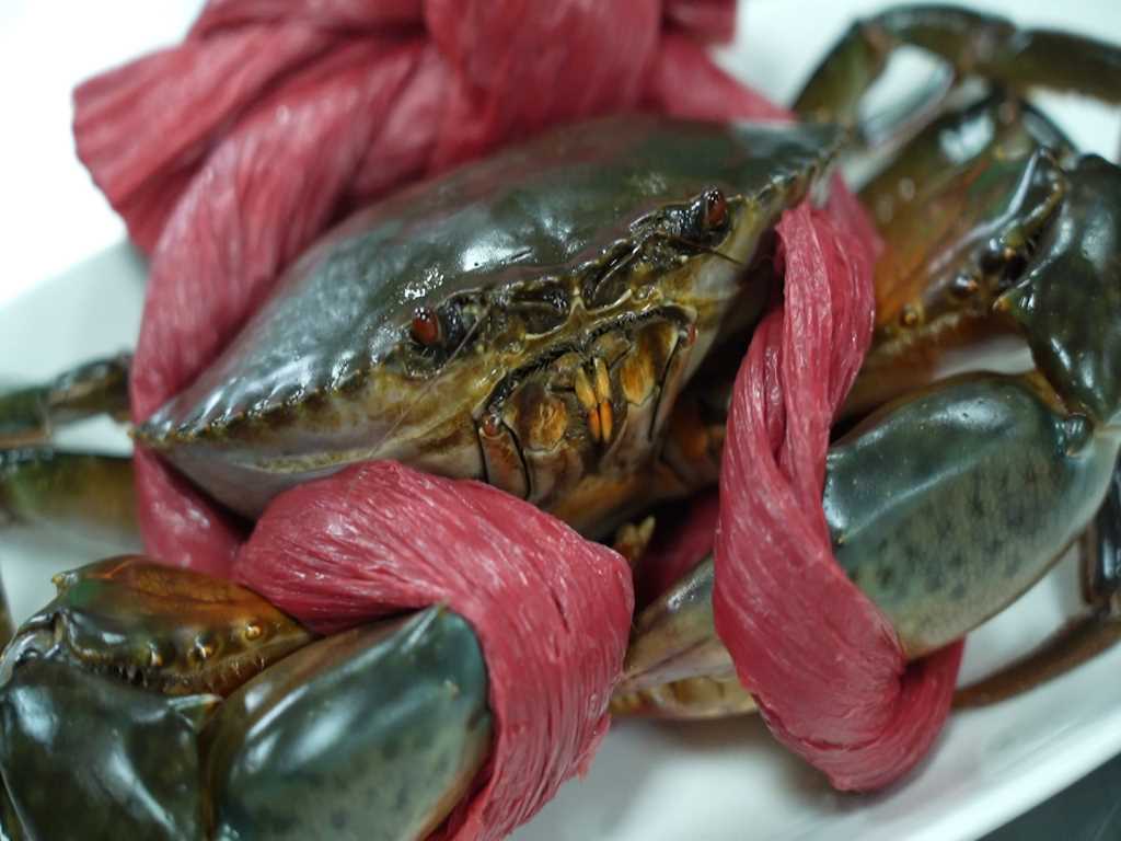 Cua giấy có phải là một loại cua hay không mà ở Quảng Ninh khi được mời ăn khiến người ta bất ngờ? - Ảnh 3.