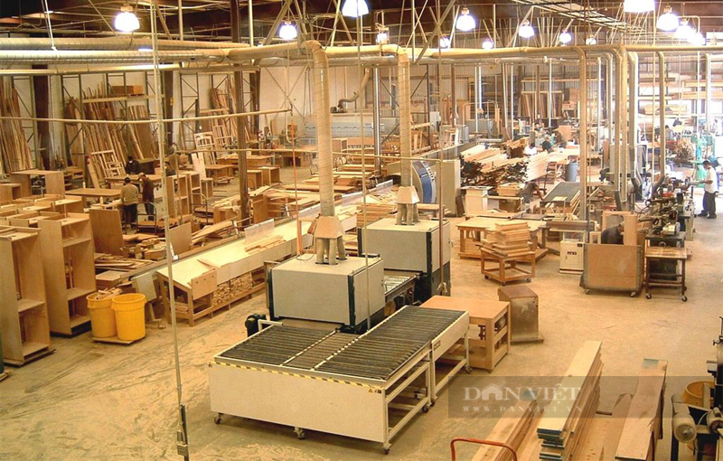 Hàng nghìn tỷ đồng chưa được hoàn thuế, doanh nghiệp gỗ kiến nghị lên Thủ tướng Chính phủ - Ảnh 2.