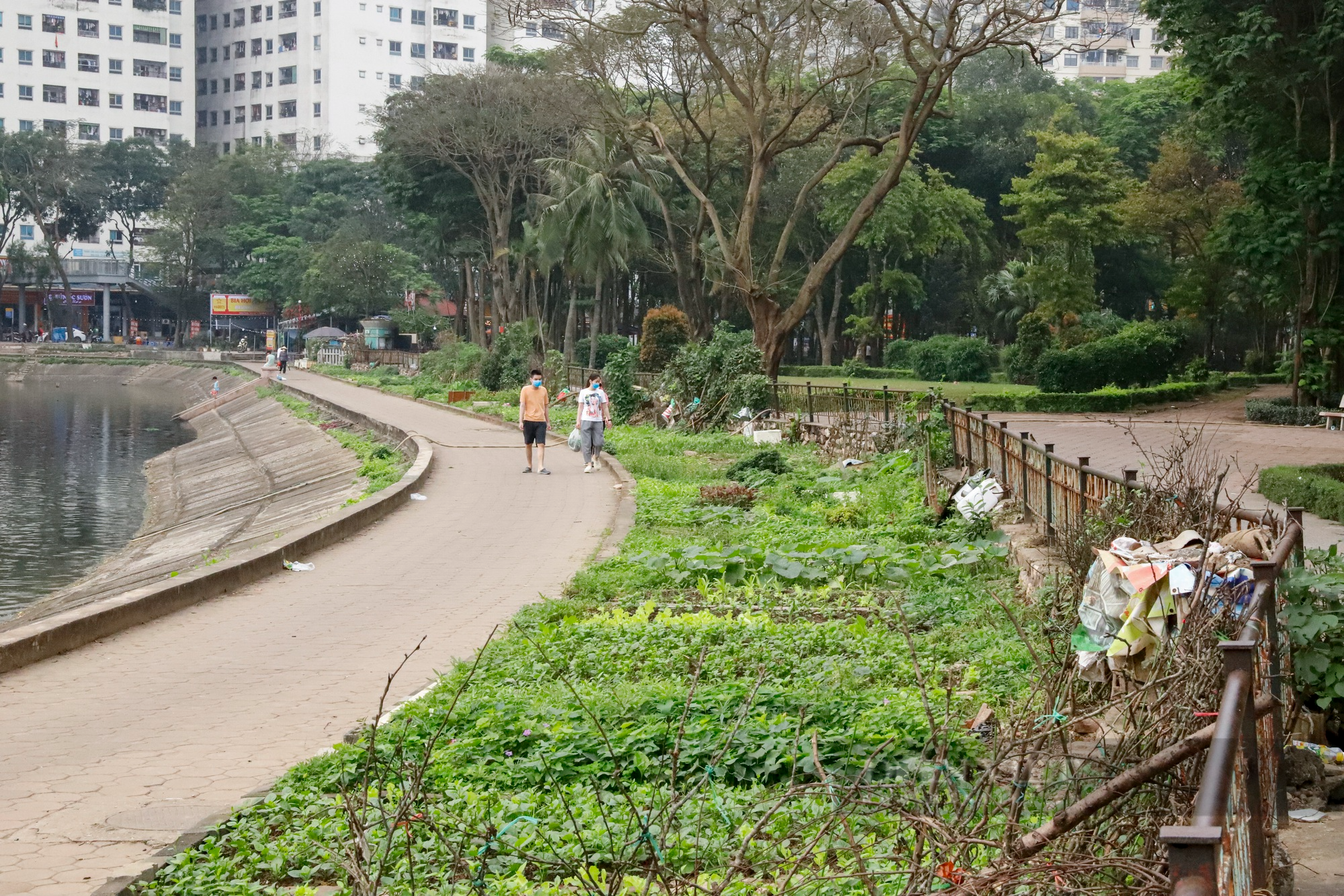 Quán bia và trà đá &quot;xẻ thịt&quot; công viên 6000 m2 tại bán đảo phía Nam Hà Nội - Ảnh 11.