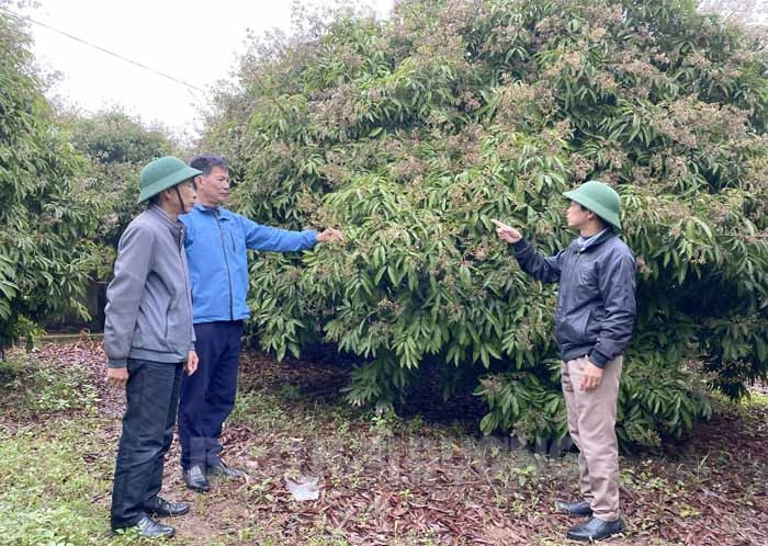 Một xã của Hải Dương đang dẫn đầu toàn tỉnh vì có 7 sản phẩm được gắn &quot;sao&quot; - Ảnh 1.