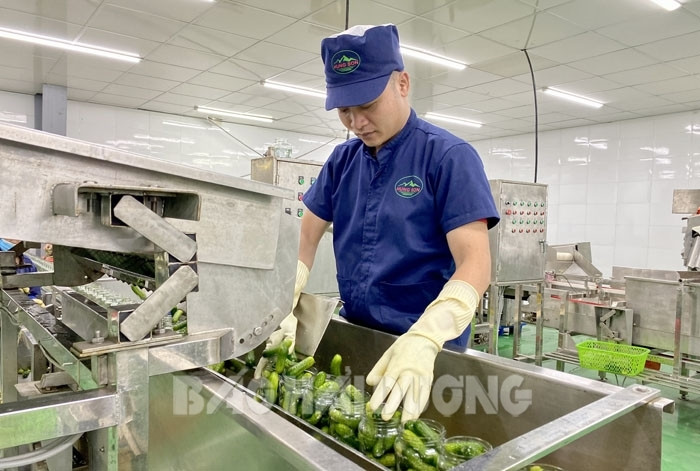 Một xã của Hải Dương đang dẫn đầu toàn tỉnh vì có 7 sản phẩm được gắn &quot;sao&quot; - Ảnh 2.