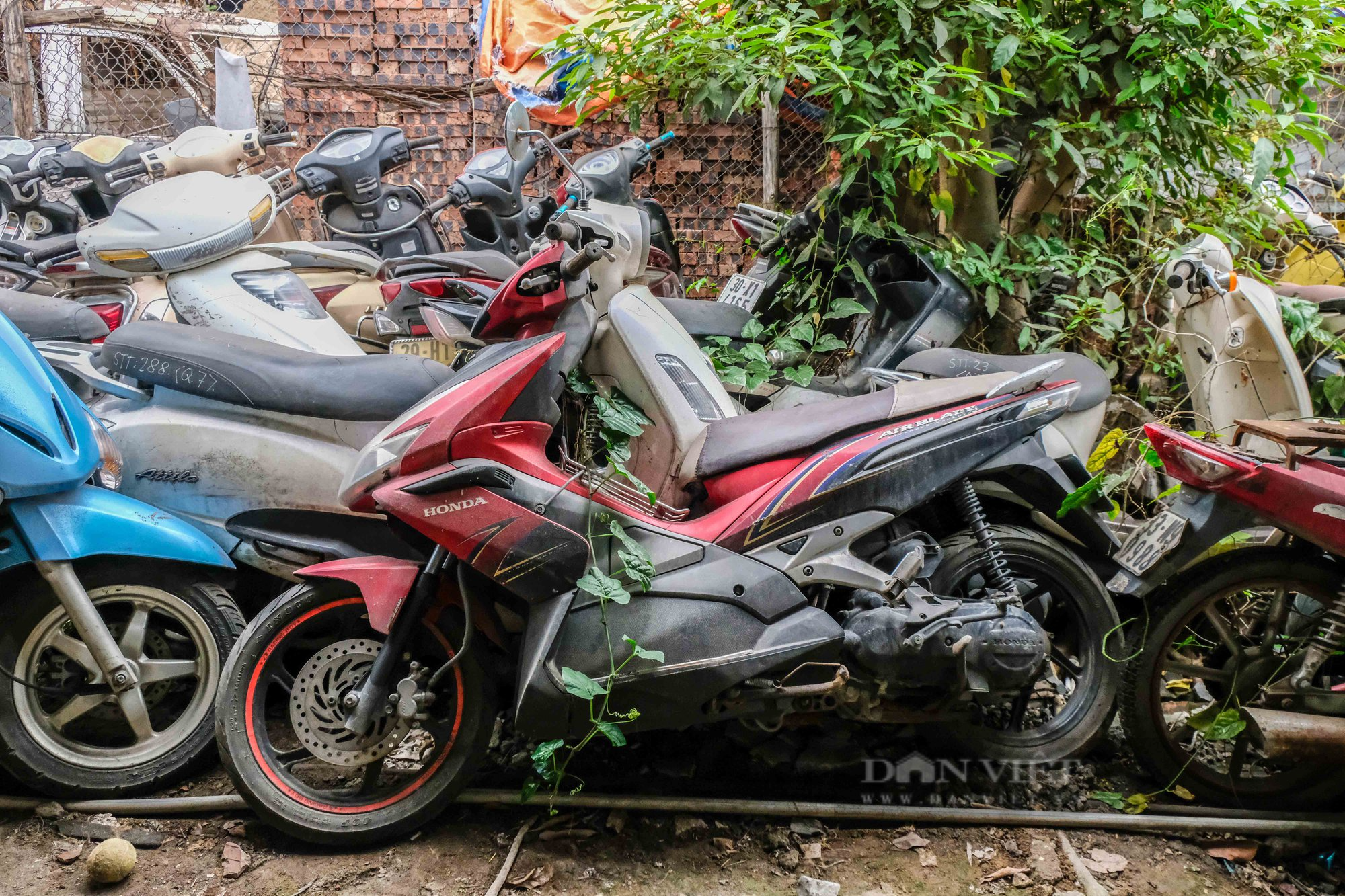 Các bãi giữ xe vi phạm ngày càng quá tải vì cao điểm xử lý nồng độ cồn - Ảnh 6.
