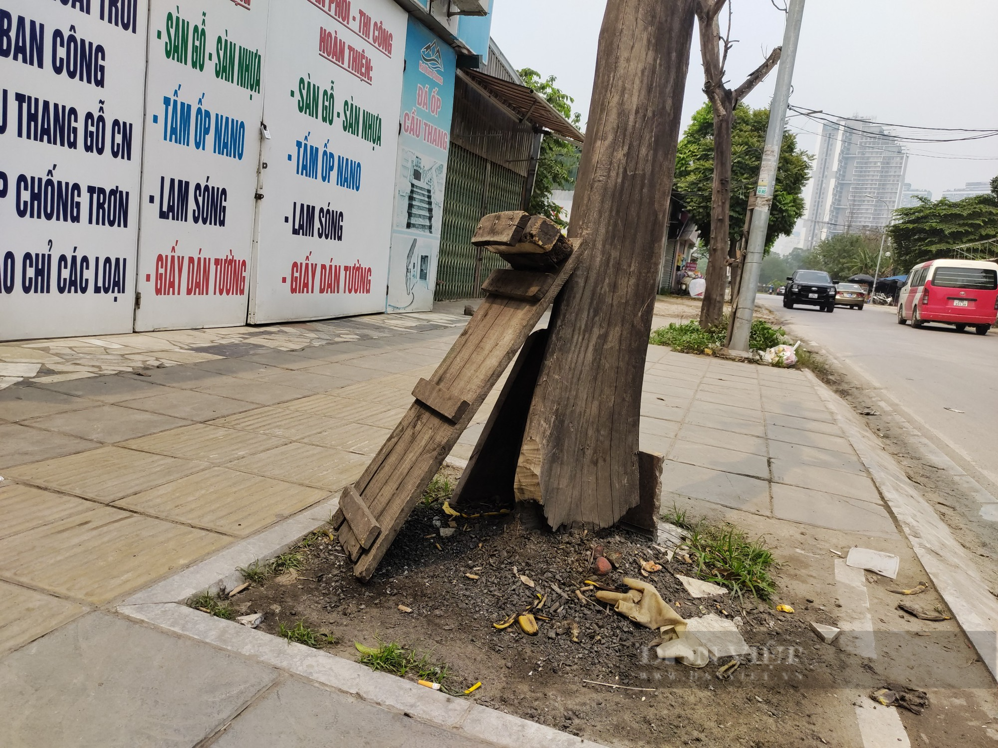 Con đường mới cải tạo giữ &quot;kỷ lục&quot; số lần cây chết ở quận Nam Từ Liêm - Ảnh 10.