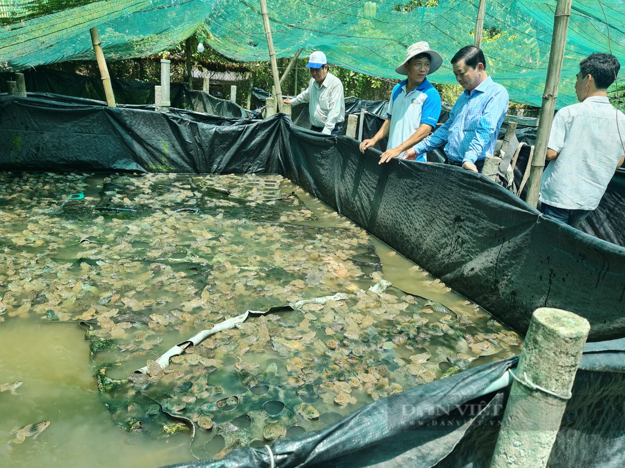 An Giang: Hơn 101.000 hộ nông dân đăng ký thi đua nông dân sản xuất, kinh doanh giỏi - Ảnh 2.