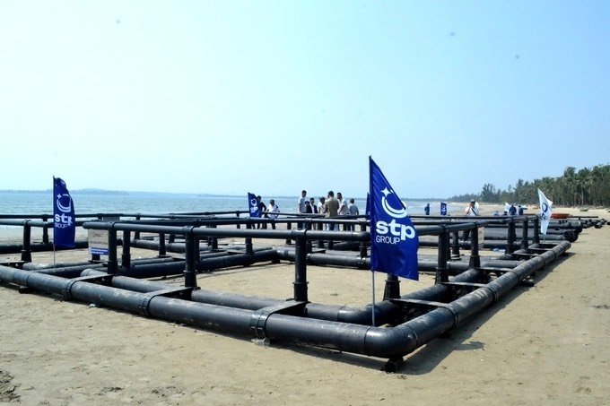 Quảng Nam: Lần đầu tiên đưa loại lồng &quot;xịn xò&quot;, trị giá tiền tỷ vào nuôi hải sản ở xã đảo Tam Hải - Ảnh 2.