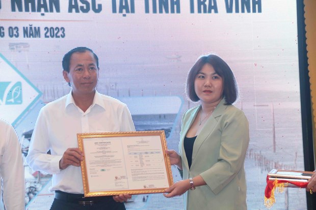 Nghêu nước sâu là con gì mà Việt Nam rất có tiềm năng nuôi để xuất khẩu bởi có bờ biển trãi dài? - Ảnh 3.