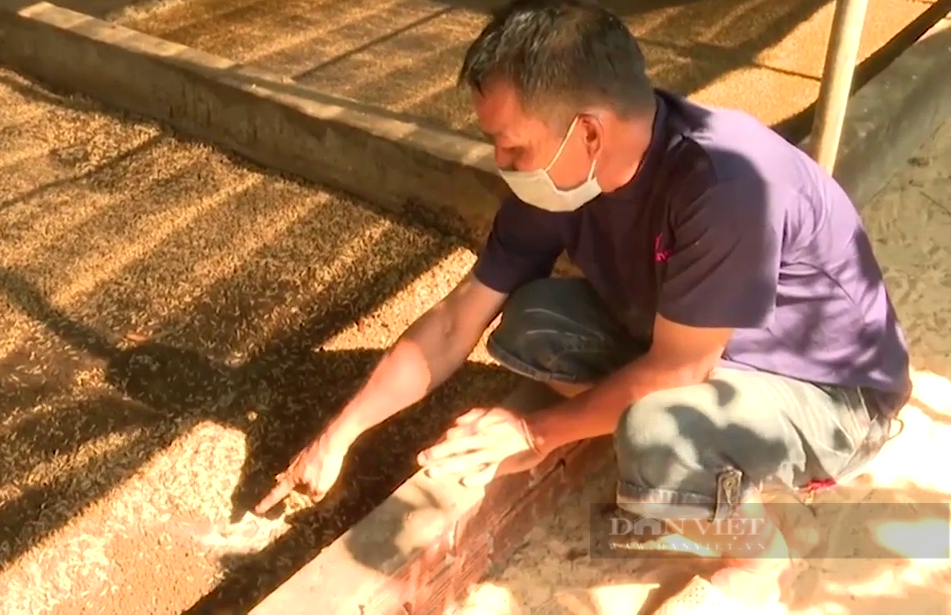 Bắt “cỗ máy xử lý rác thải” đẻ con nhung nhúc, anh nông dân đem nuôi cá lớn nhanh như thổi - Ảnh 1.