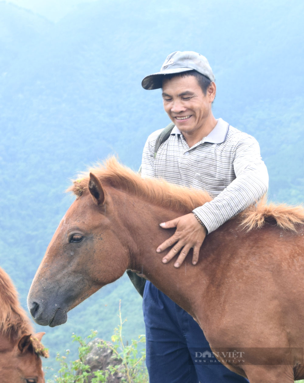 Nuôi ngựa ở Bình Liêu - Ảnh 6.