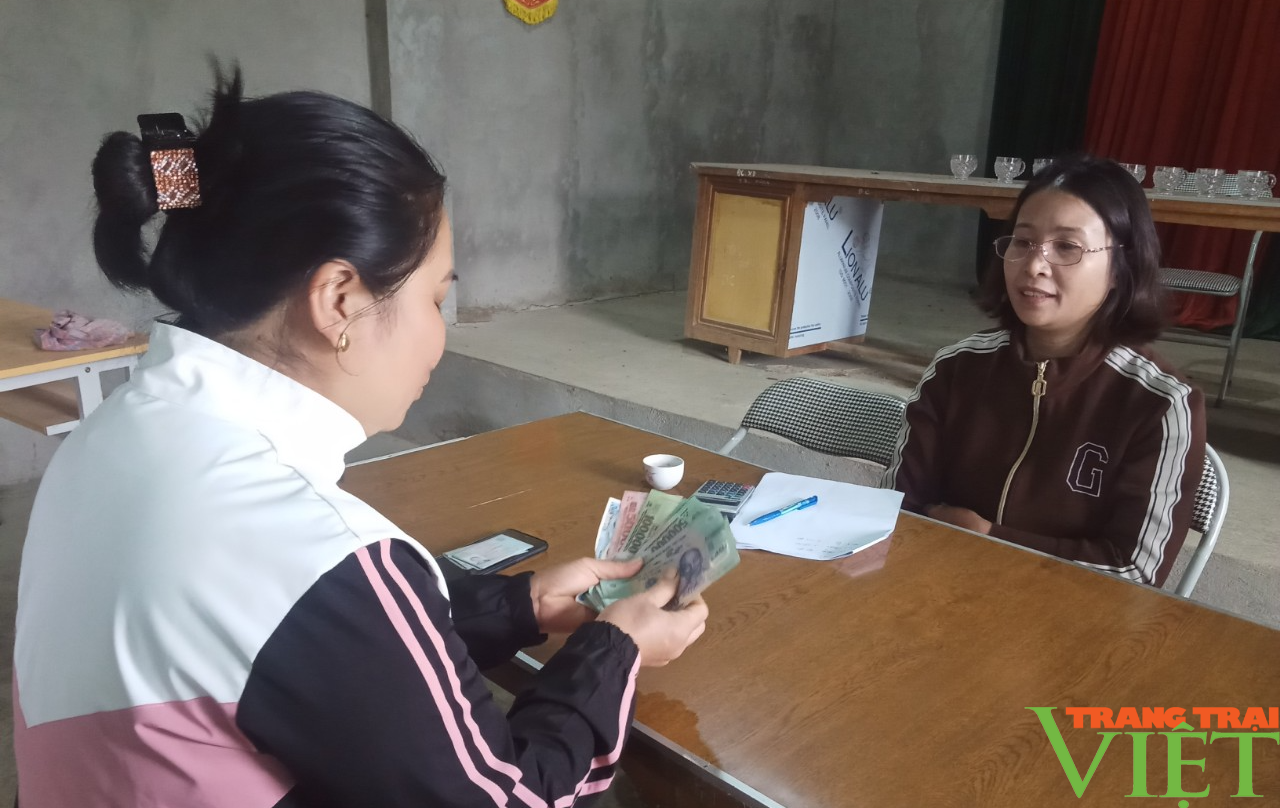 Phù Yên (Sơn La): Nỗ lực trồng rừng phủ xanh đất trống, đồi trọc - Ảnh 4. Phù Yên (Sơn La): Nỗ lực trồng rừng phủ xanh đất trống, đồi trọc - Ảnh 4.