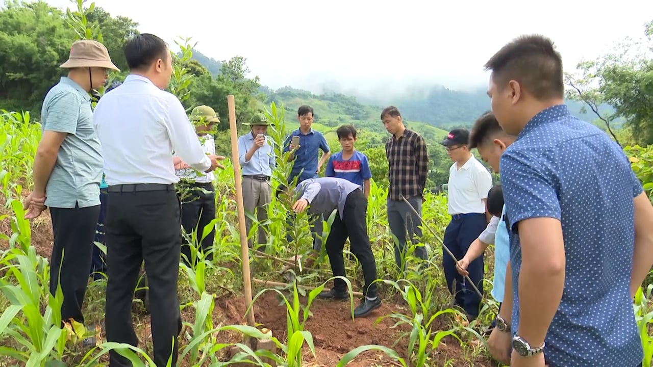 Sơn La: Giúp đồng bào dân tộc thiểu số thoát nghèo - Ảnh 6.