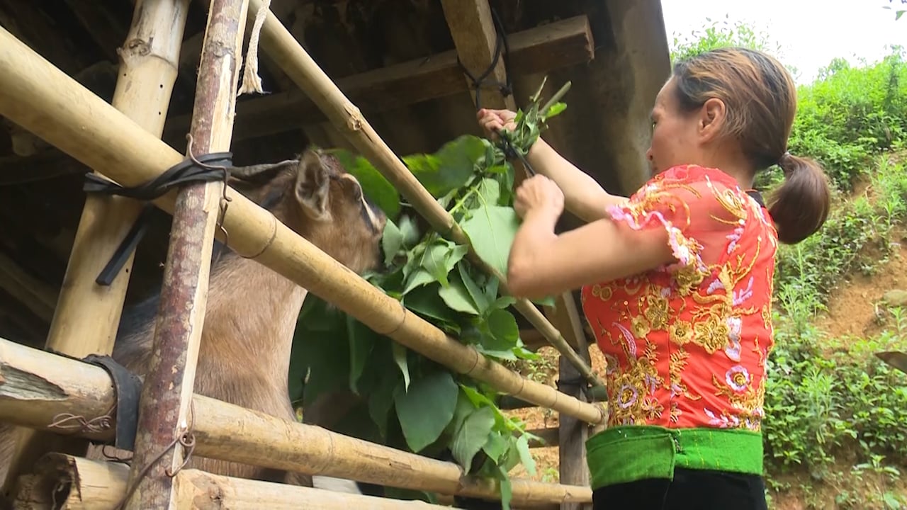 Sơn La: Giúp đồng bào dân tộc thiểu số thoát nghèo - Ảnh 3.