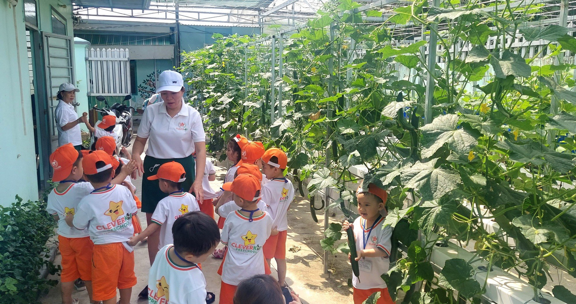 Nhiều học sinh háo hức với vườn rau thủy canh ở Nha Trang - Ảnh 4.