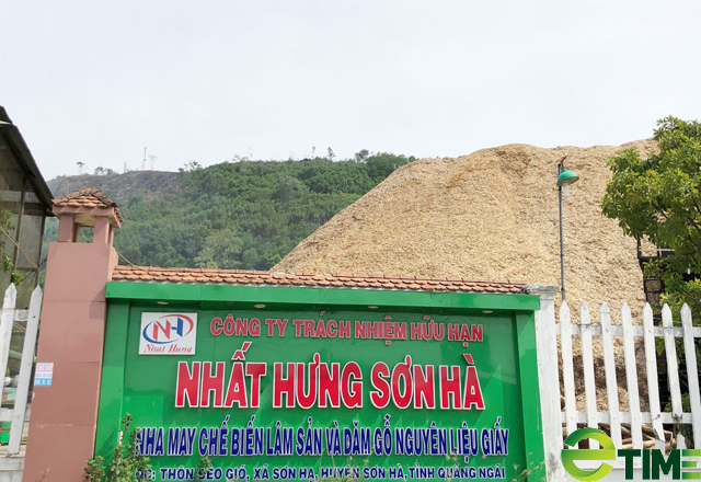 Quảng Ngãi tiếp tục chỉ đạo dẹp “loạn” điểm thu mua gỗ keo vi phạm - Ảnh 3. Quảng Ngãi tiếp tục chỉ đạo dẹp “loạn” điểm thu mua gỗ keo vi phạm - Ảnh 3.