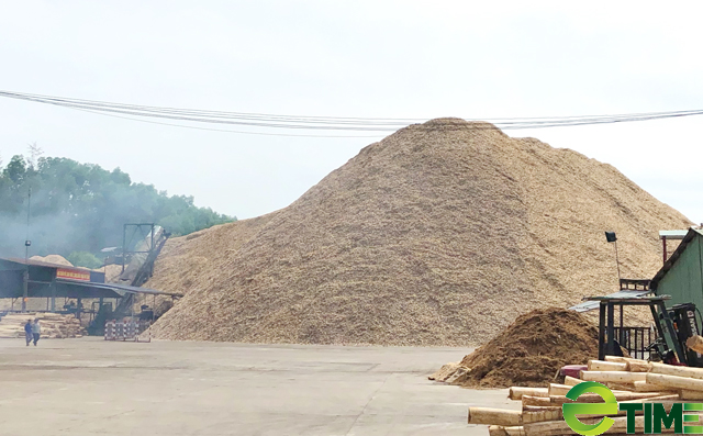 Quảng Ngãi tiếp tục chỉ đạo dẹp “loạn” điểm thu mua gỗ keo vi phạm - Ảnh 6. Quảng Ngãi tiếp tục chỉ đạo dẹp “loạn” điểm thu mua gỗ keo vi phạm - Ảnh 6.