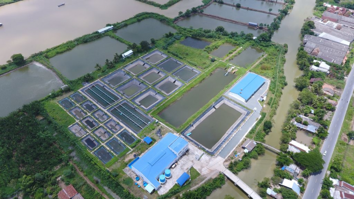 Các &quot;ông lớn&quot; đầu tư triệu đô khai thác &quot;mỏ vàng&quot; từ thị trường thức ăn thuỷ sản  - Ảnh 2.