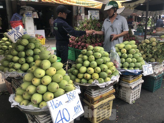 Xoài cát Hòa Lộc giá rẻ bất ngờ - Ảnh 10.