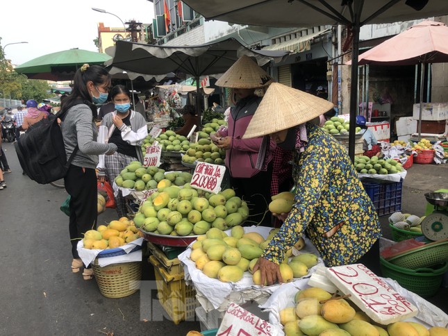 Xoài cát Hòa Lộc giá rẻ bất ngờ - Ảnh 5.