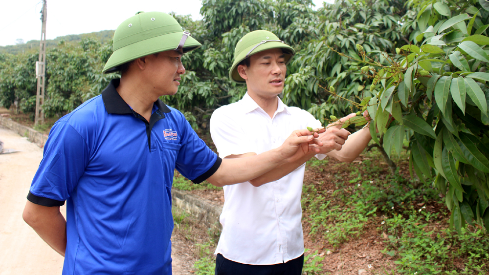 Bắc Giang chủ động đổi mới cách tiếp cận thị trường - Ảnh 1.