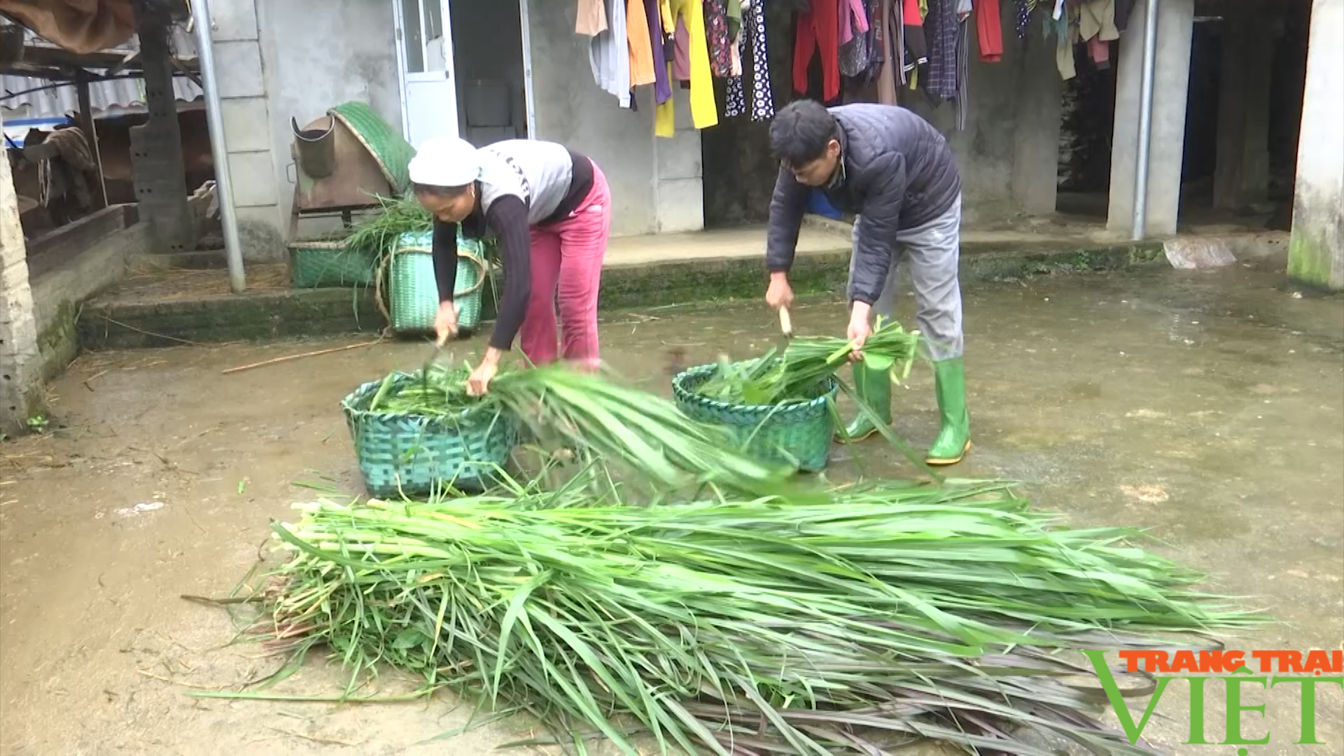 Đổi thay trên các bản tái định cư Mường Do - Ảnh 3.