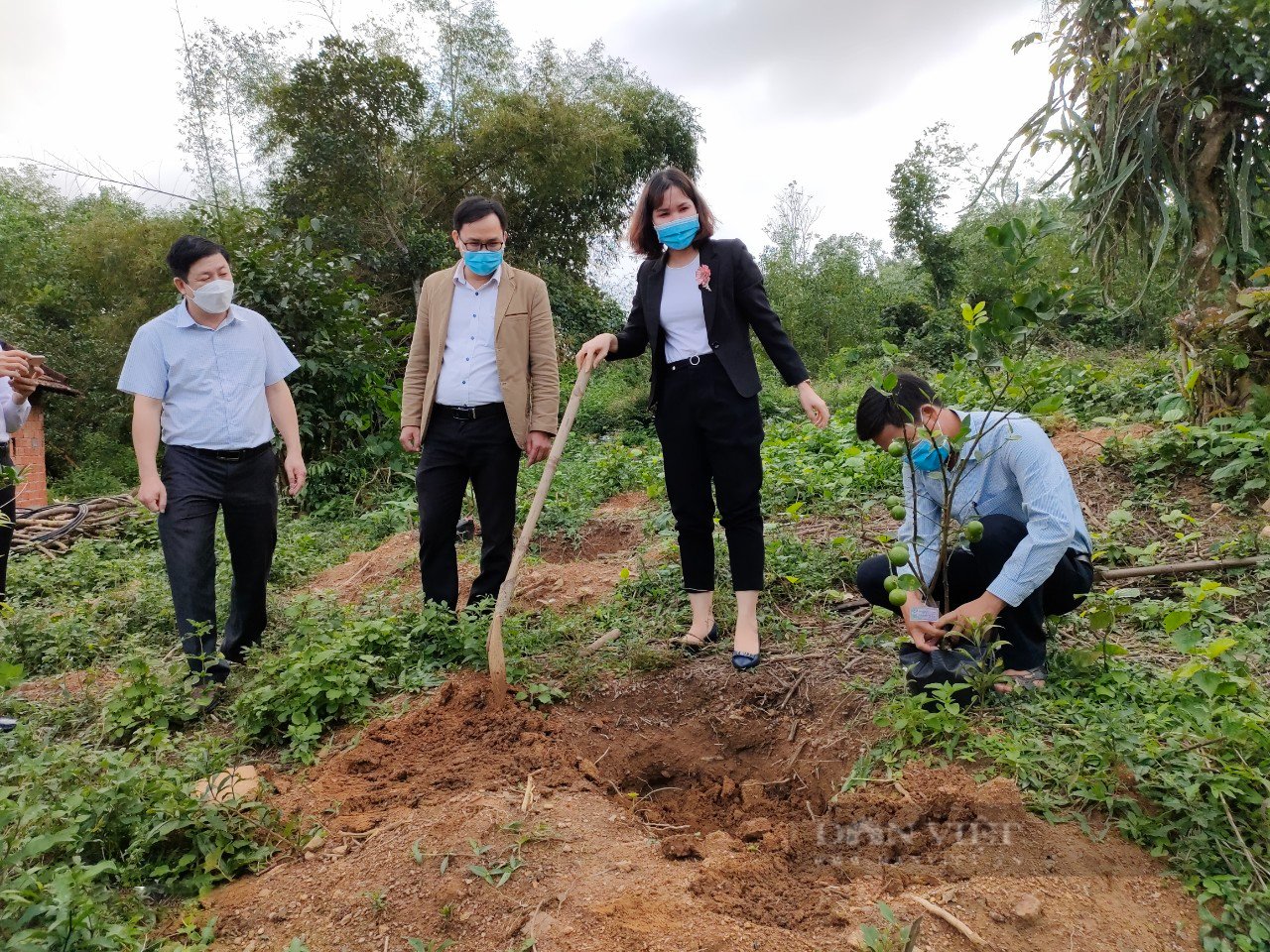 Quảng Nam: Xây dựng giai cấp nông dân vững mạnh và phát triển toàn diện trong thời kỳ mới - Ảnh 2.