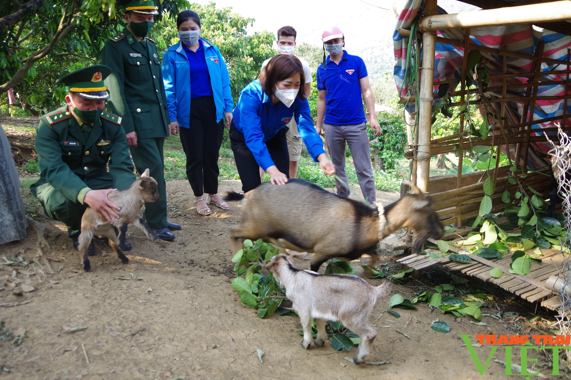 “Ngân hàng dê” giúp ĐVTN vùng cao biên giới Sơn La vươn lên thoát nghèo - Ảnh 2. “Ngân hàng dê” giúp ĐVTN vùng cao biên giới Sơn La vươn lên thoát nghèo - Ảnh 2.
