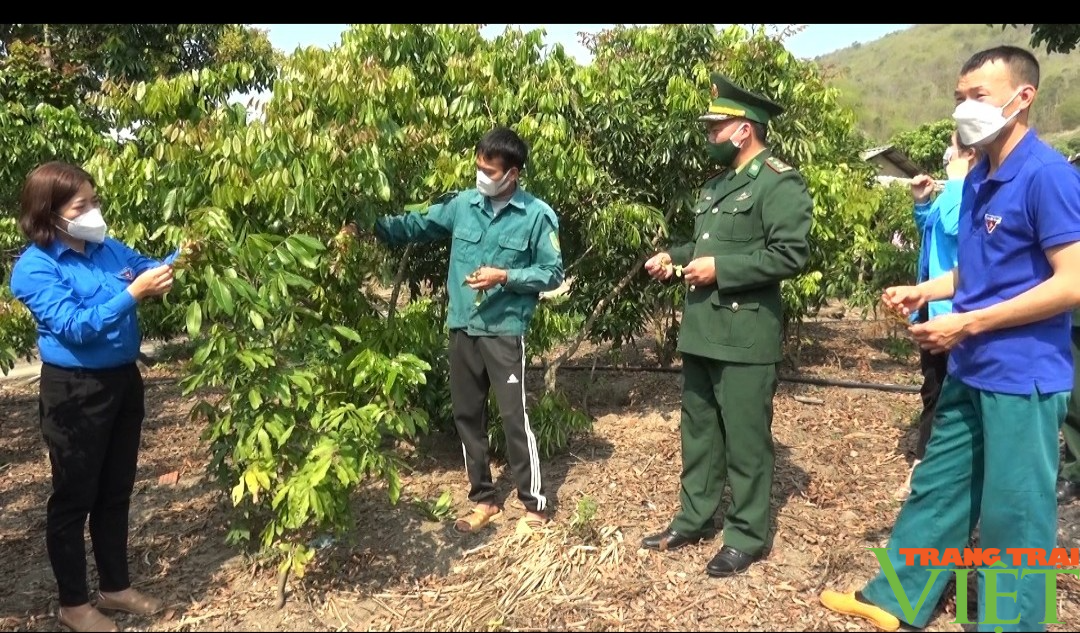 “Ngân hàng dê” giúp ĐVTN vùng cao biên giới Sơn La vươn lên thoát nghèo - Ảnh 4. “Ngân hàng dê” giúp ĐVTN vùng cao biên giới Sơn La vươn lên thoát nghèo - Ảnh 4.