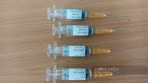 Sức khoẻ của 4 cháu nhỏ sau sự cố tiêm vắc xin hết hạn ở Thanh Hoá giờ ra sao? - Ảnh 1.