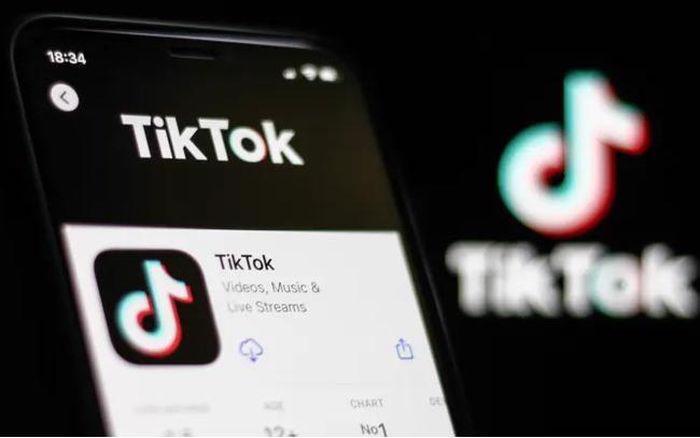 Thanh tra toàn diện TikTok ở Việt Nam từ 15/5 - Ảnh 1.