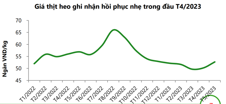 Dự báo giá thịt heo tăng, các "ông lớn" ngành chăn nuôi sẽ "rũ bùn đứng dậy" từ nửa cuối năm 2023? - Ảnh 1. Dự báo giá thịt heo tăng, các "ông lớn" ngành chăn nuôi sẽ "rũ bùn đứng dậy" từ nửa cuối năm 2023? - Ảnh 1.