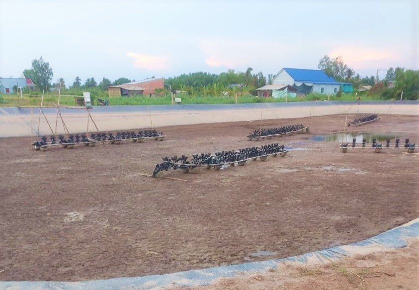 Đến vùng này của Tiền Giang, thấy vô số ao tôm bỏ không, cạn khô, hỏi ra mới bất ngờ - Ảnh 1.