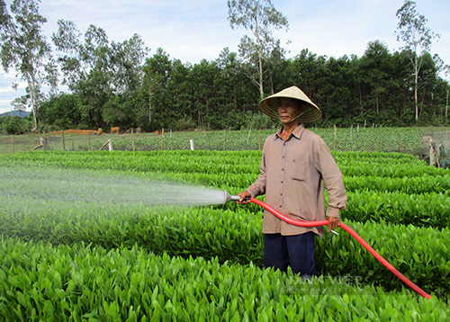 Quảng Nam: Quyết tâm vượt khó, Quế An hướng đến xã nông thôn mới - Ảnh 2.