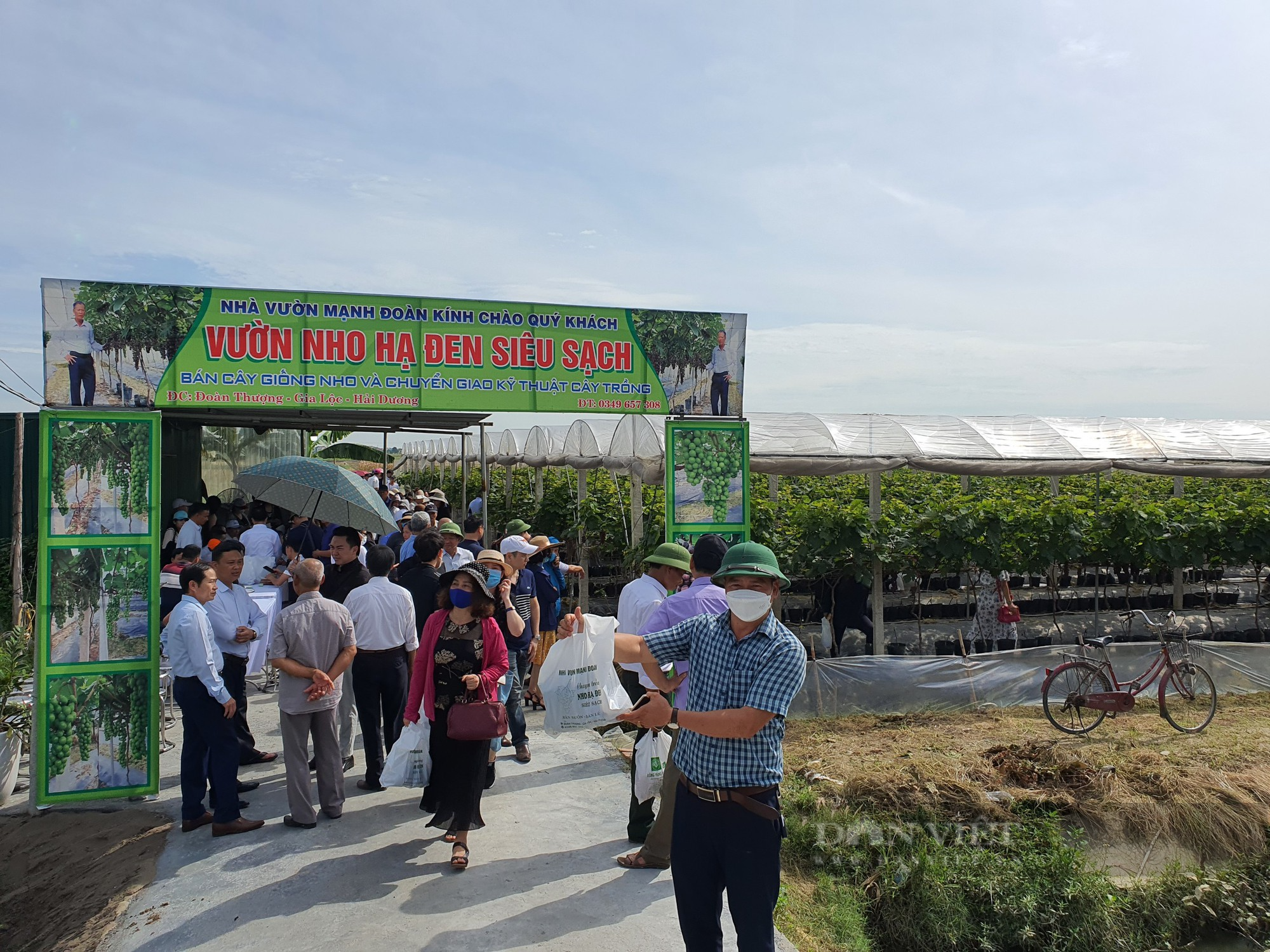 Bỏ đi buôn, anh nông dân ở Hải Dương chuyển sang ươm hoa giống, trồng nho Hạ Đen thu bội tiền - Ảnh 10.