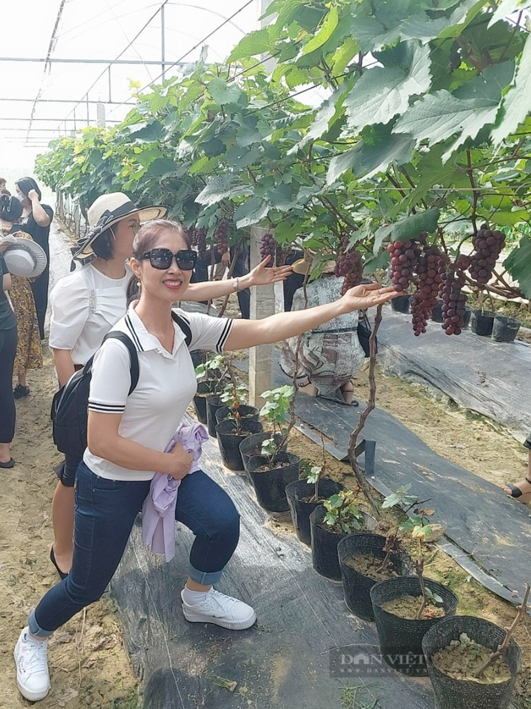 Bỏ đi buôn, anh nông dân ở Hải Dương chuyển sang ươm hoa giống, trồng nho Hạ Đen thu bội tiền - Ảnh 9.