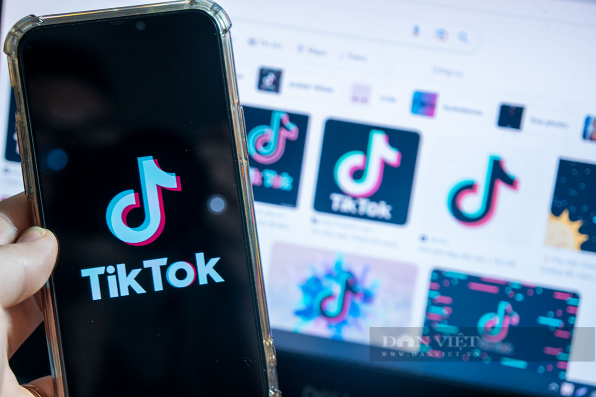 Diễn biến mới việc kiểm tra toàn diện TikTok Việt Nam - Ảnh 1.