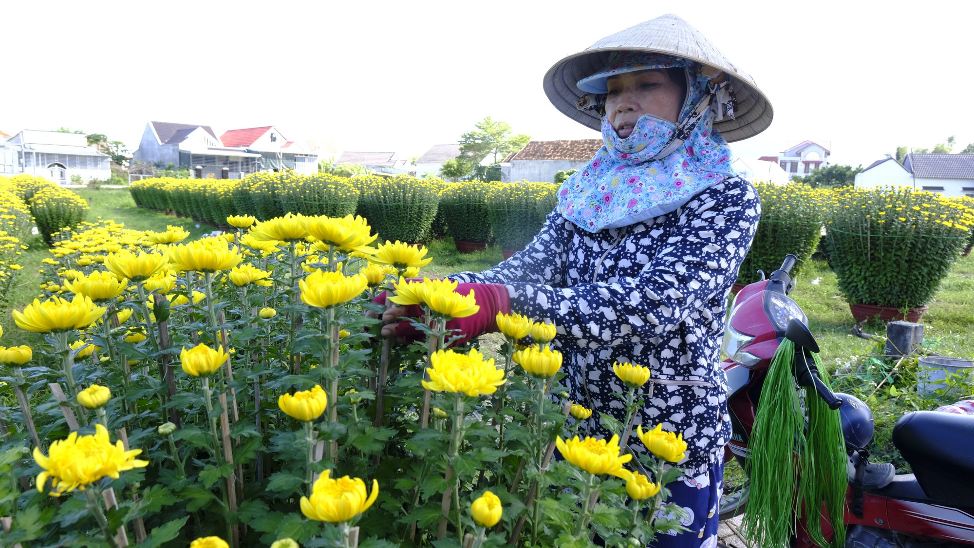 Gần 4 tỷ đồng phát triển làng nghề nông thôn ở Khánh Hòa - Ảnh 1. Gần 4 tỷ đồng phát triển làng nghề nông thôn ở Khánh Hòa - Ảnh 1.