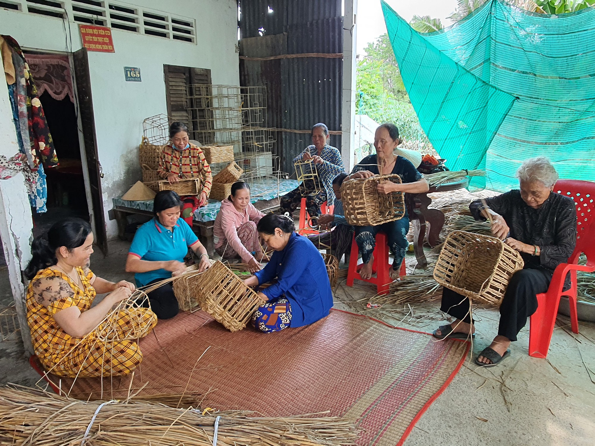 Không ngờ cây cỏ này đã giúp hàng trăm nông thôn ở Sóc Trăng có việc làm thêm ổn định - Ảnh 3.