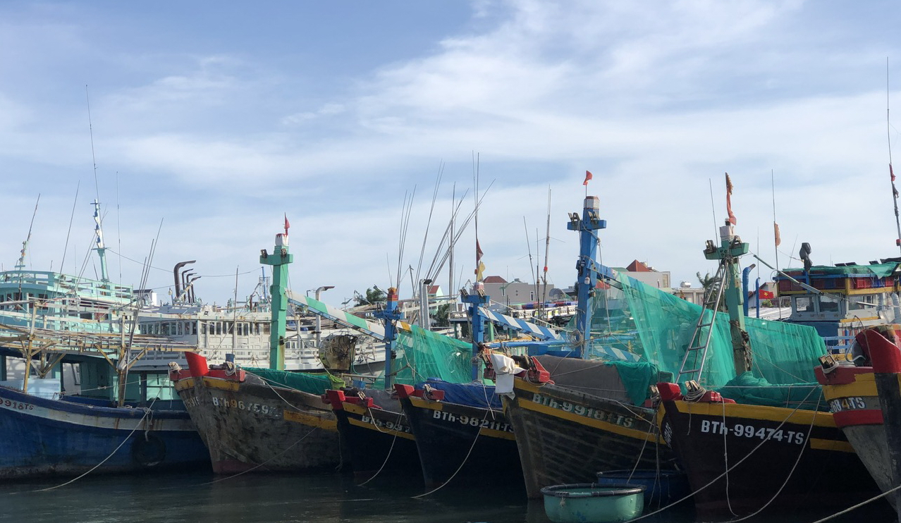Một giám đốc cấp sở ở Bình Thuận bị xếp không hoàn thành nhiệm vụ - Ảnh 1.