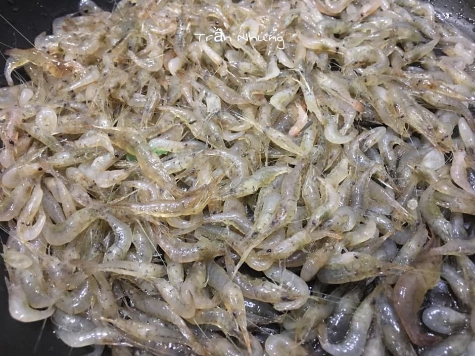 Gợi ý thực đơn bữa cơm ngày hè toàn món dân dã, ngon khó cưỡng cho người độc thân - Ảnh 2.