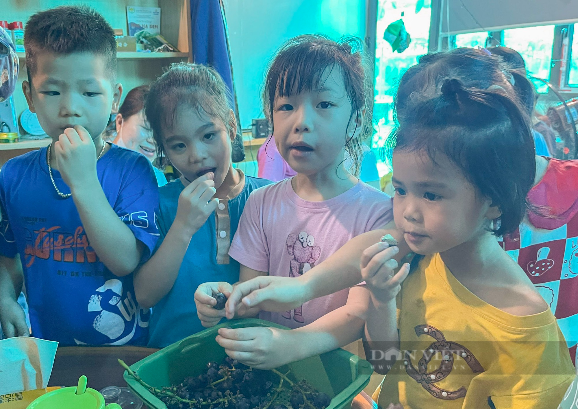 Lạc vào vườn nho trĩu quả tại trường Đại học Nông - Lâm Bắc Giang - Ảnh 4.