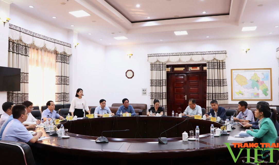 Lai Châu và doanh nghiệp Hàn Quốc bàn giải pháp khai thác khoáng sản - Ảnh 1. Lai Châu và doanh nghiệp Hàn Quốc bàn giải pháp khai thác khoáng sản - Ảnh 1.