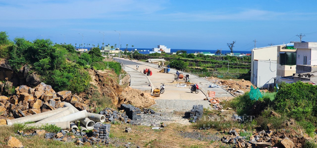 Quảng Ngãi: Tỉnh chỉ rõ huyện Lý Sơn còn thiếu kinh nghiệm khi được giao triển khai các dự án  - Ảnh 3.
