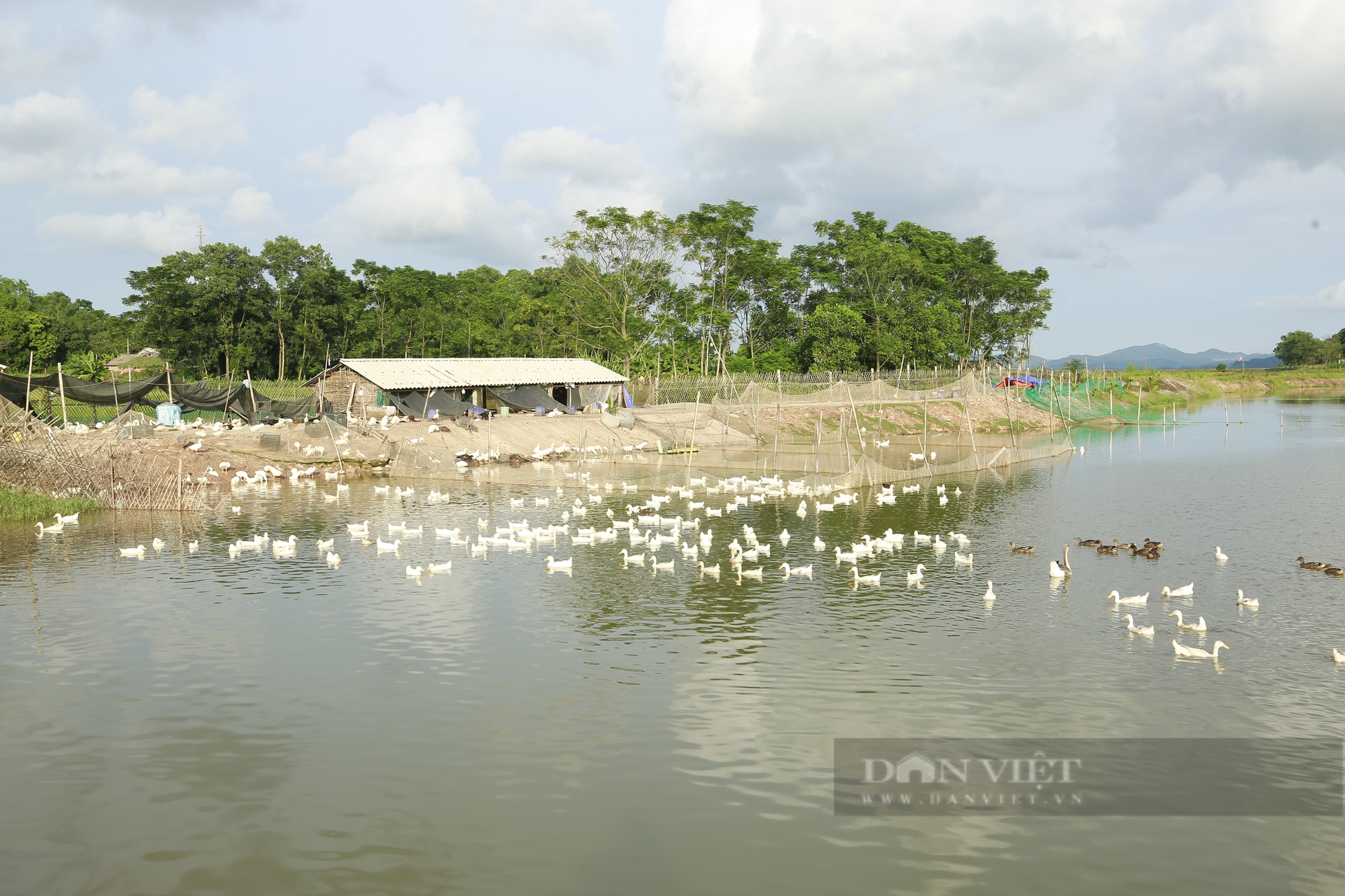 Đưa thương hiệu trứng vịt biên Đồng Rui vươn xa, một hợp tác xã ở Quảng Ninh được tôn vinh - Ảnh 2.