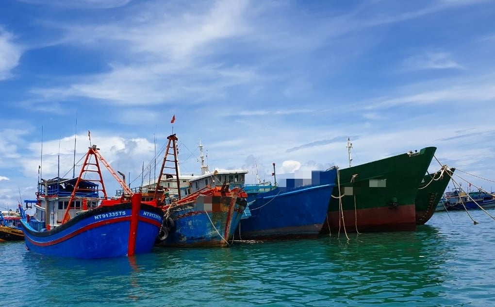 Tàu cá gom thiết bị giám sát của tàu khác bị xử phạt nhiều lỗi với nhiều số tiền gần 30 triệu đồng - Ảnh 1.