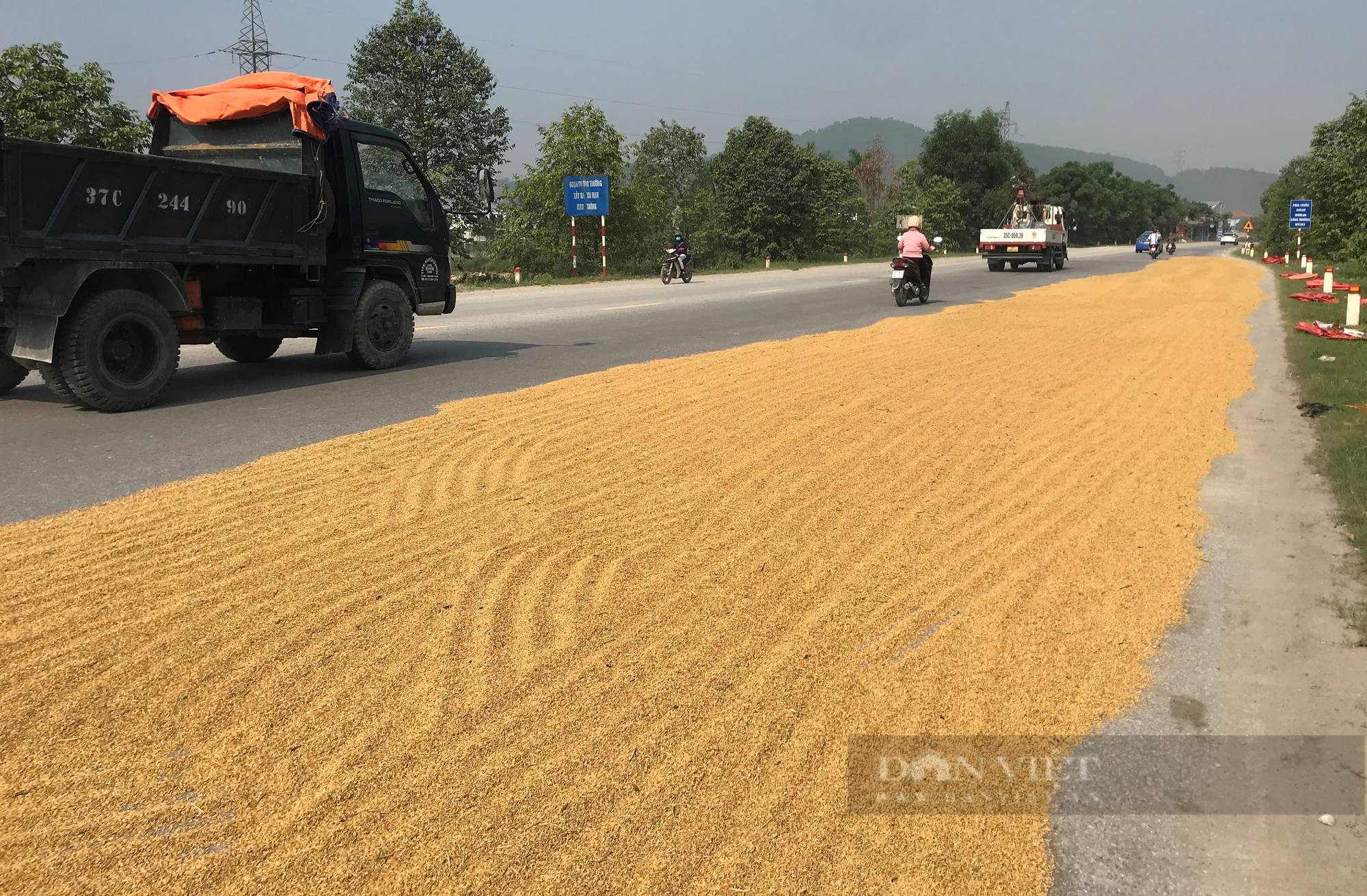 Đánh cược với tính mạng, nông dân ra quốc lộ phơi nông sản giữa dòng phương tiện lao vun vút - Ảnh 3.
