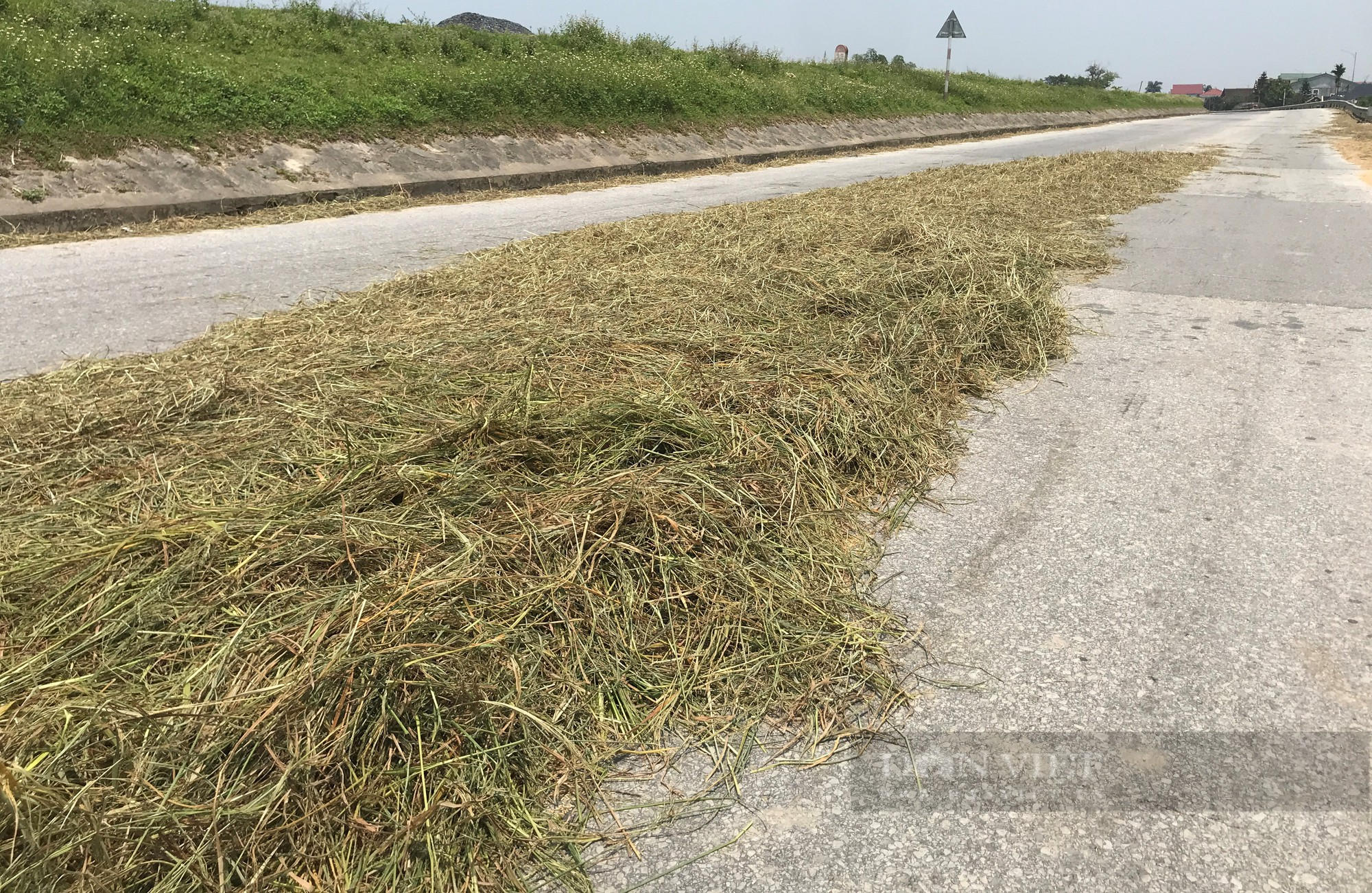 Đánh cược với tính mạng, nông dân ra quốc lộ phơi nông sản giữa dòng phương tiện lao vun vút - Ảnh 7.